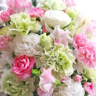 山嵜 まりこのその他イメージ