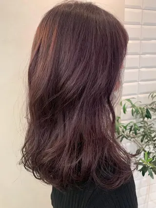 セミロング カラー hub hair レイヤー/透明感のヘアスタイル