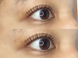 マツエク・マツパ 《eyelash ｉｉｔｅ》森のマツエク・マツパデザイン