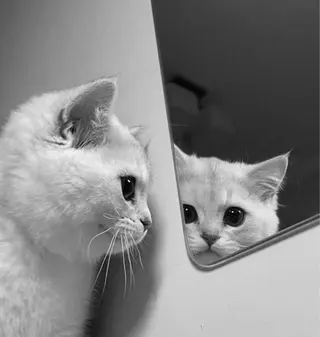 ᴍɪɴᴀ．‪‪ 🐈‍⬛のマツエク・マツパデザイン