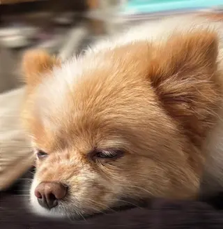 松本｜似合わせ眉 ×まつげパーマ×ヘアの眉毛・アイブロウイメージ