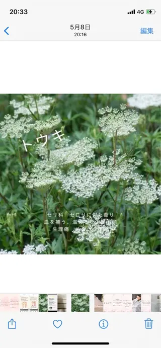 最先端温活・痩身 よもぎ・ハーブ蒸しのエステ・リラクイメージ