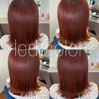 ミディアム カラー 小澤 志穂のヘアスタイル