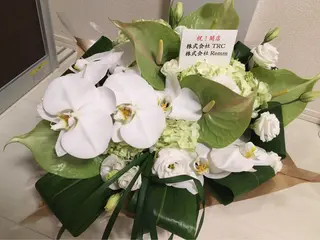 アニメ,Vオタク× 即効痩せエステサロンのエステ・リラクイメージ