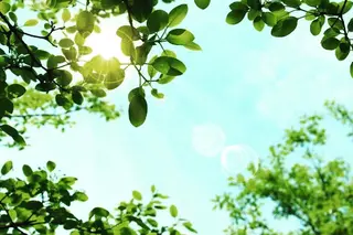 金澤 ゆう子のエステ・リラクイメージ