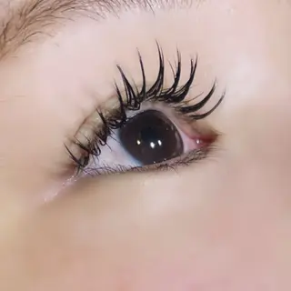 マツエク・マツパ 🌟杉枝 佑夏🌟のマツエク・マツパデザイン