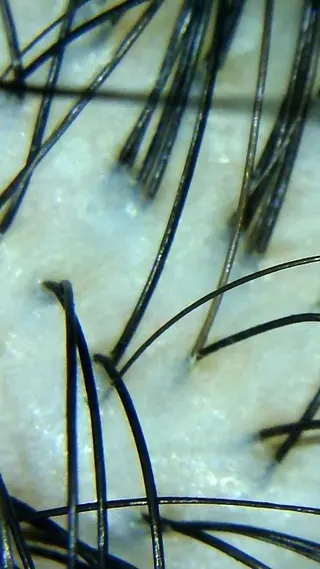 セントラル鍼灸院 Re:laxyのヘアスタイル