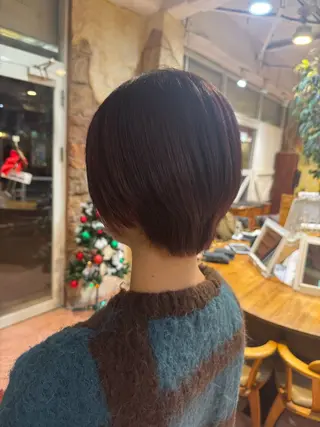 ショート カラー クレドガーデン柏所属・CREDGARDEN 入江 遥香のヘアスタイル