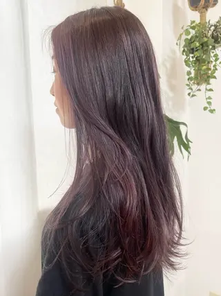 セミロング 園田 渉 ◤SHIKIO◢のヘアスタイル