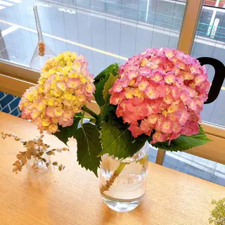 マツエク・マツパ なかむら 🪡のマツエク・マツパデザイン