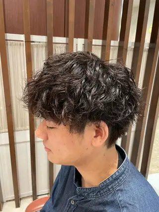 パーマ 金井 郁弥のヘアスタイル