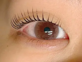 マツエク・マツパ amie ゆまのマツエク・マツパデザイン