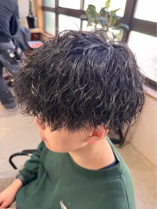 メンズ メンズパーマ特化 /ハルト waltのヘアスタイル