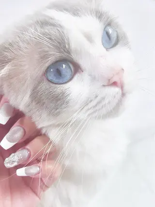 ネイル Chun Nailのネイルデザイン