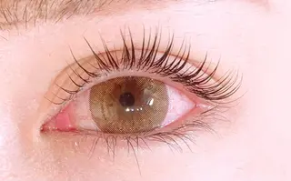 マツエク・マツパ ALETTA DONAのマツエク・マツパデザイン