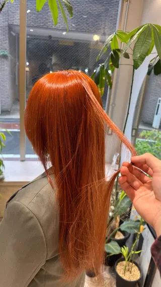 セミロング カラー 🎨ハイトーン/ウル フ/ショート/大夢のヘアスタイル