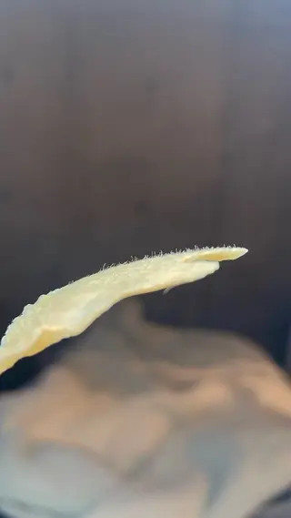 New所属・New __のその他イメージ