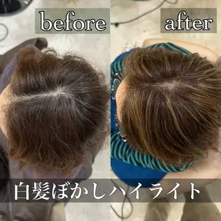 カラー 藤本 豪海のヘアスタイル