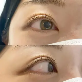 マツエク・マツパ eyelash "Koa"🕊🤎のマツエク・マツパデザイン