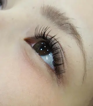 マツエク・マツパ スワロウ テイルのマツエク・マツパデザイン