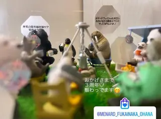 深井中所属・服部 恵里那のエステ・リラクイメージ