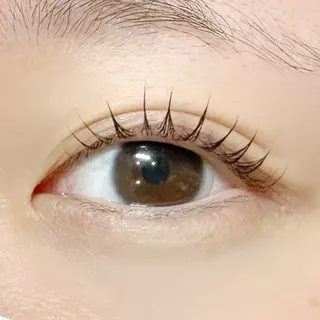 マツエク・マツパ NOA名駅束感まつげ ×眉毛SENA‪🎀のマツエク・マツパデザイン