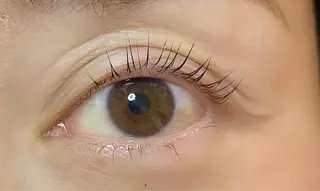 マツエク・マツパ 内藤 由貴のマツエク・マツパデザイン