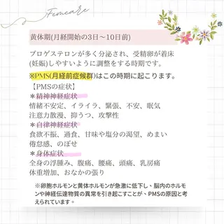 めぐらせの 森のその他イメージ