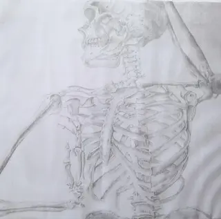 骨格美容整体 bimote.新宿のエステ・リラクイメージ