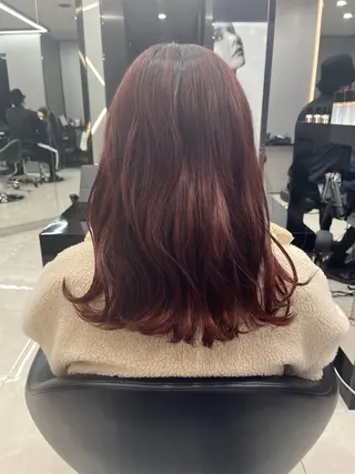 セミロング カラー 若命燿史／レイヤー 縮毛矯正/髪質改善のヘアスタイル