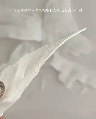 f. harukaのネイルデザイン