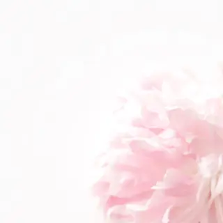 TIÁM eyelashのマツエク・マツパデザイン