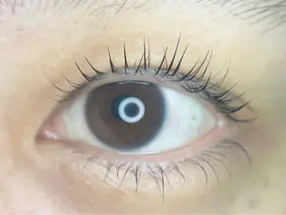 マツエク・マツパ irie(アイリー) hair&eyeのマツエク・マツパデザイン
