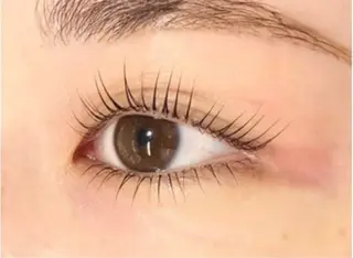 マツエク・マツパ 【eight】藤沢/ 束間/パリ/AOKIのマツエク・マツパデザイン