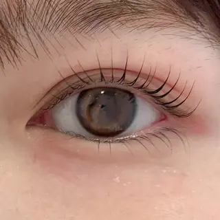 マツエク・マツパ 🌙Lily 船橋 鈴木のマツエク・マツパデザイン