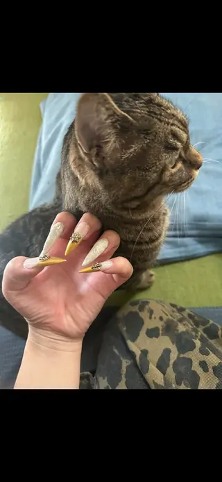 ネイル nail K mihaneのネイルデザイン