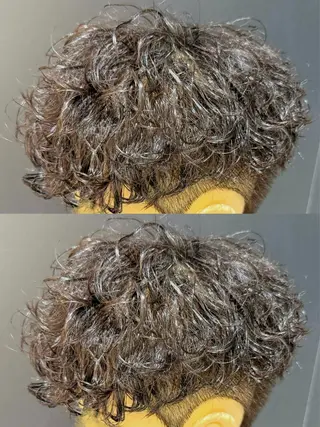 パーマ メンズ レディースモデル募集 無料/田中海斗のヘアスタイル