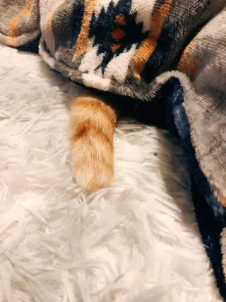 kiki nail &brow二子玉川の眉毛・アイブロウイメージ