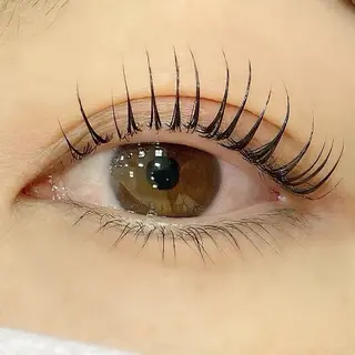 マツエク・マツパ アルターエクラ 飯島のマツエク・マツパデザイン