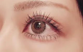 マツエク・マツパ 💟アイリスト 💟の眉毛・アイブロウイメージ