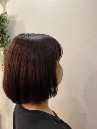 カラー 岡田 真弥のヘアスタイル