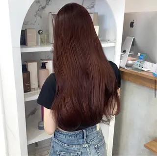 ロング タマシロカリン 艶カラー/レイヤーのヘアスタイル