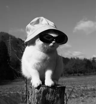 ᴍɪɴᴀ. 🐈⬛のマツエク・マツパデザイン