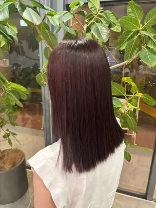 カラー 🐈‍⬛JUMI /透明感カラー/🩶のヘアスタイル