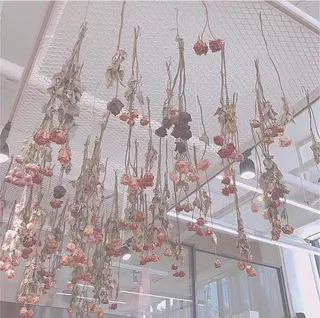 マツエク・マツパ 平井 千佳の眉毛・アイブロウイメージ