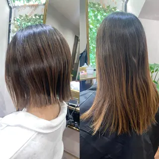 ミディアム ＳＨＩ ＺＵのヘアスタイル