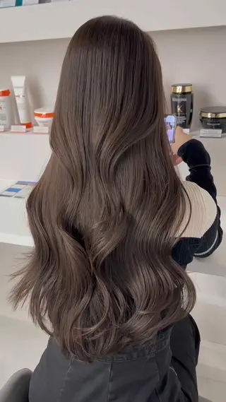 カラー モリシタ チョウのヘアスタイル