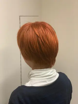 カラー 向井 優汰のヘアスタイル