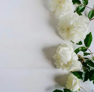 Mimu. momokaの眉毛・アイブロウイメージ