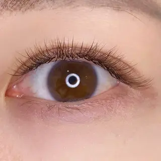 マツエク・マツパ eyelash mieuxのマツエク・マツパデザイン